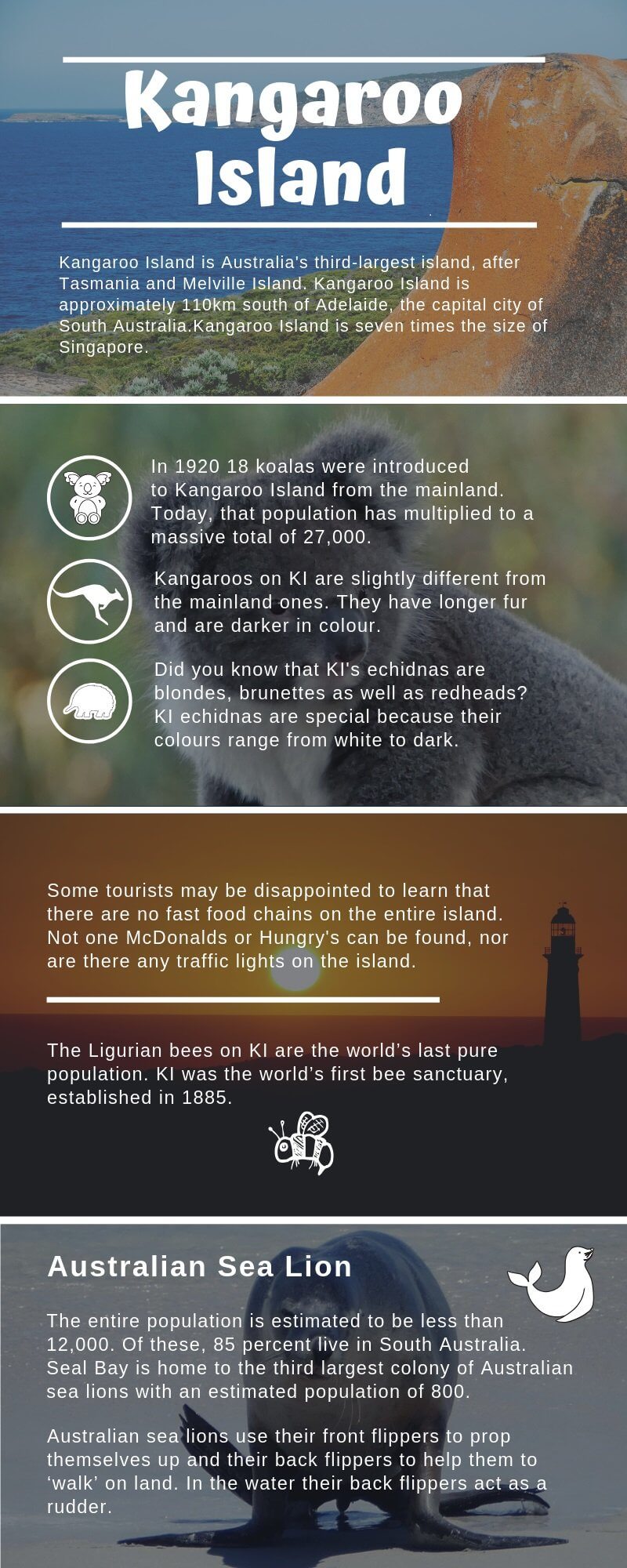 Kangaroo Island Info Graphic