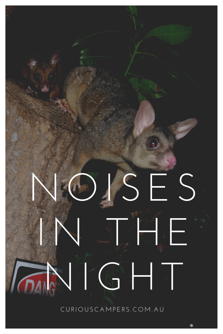 Noisy nights