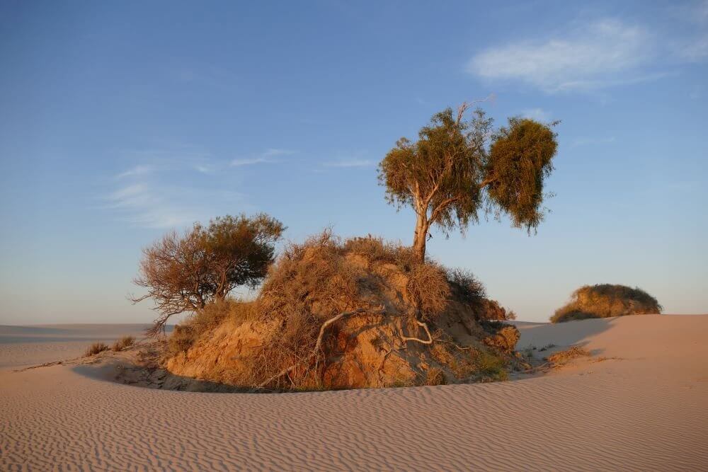 Mungo Island in the desert
