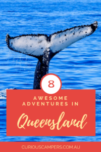 Queensland Adventures