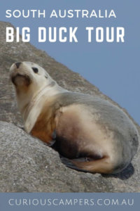 Big Duck Wildlife Cruise