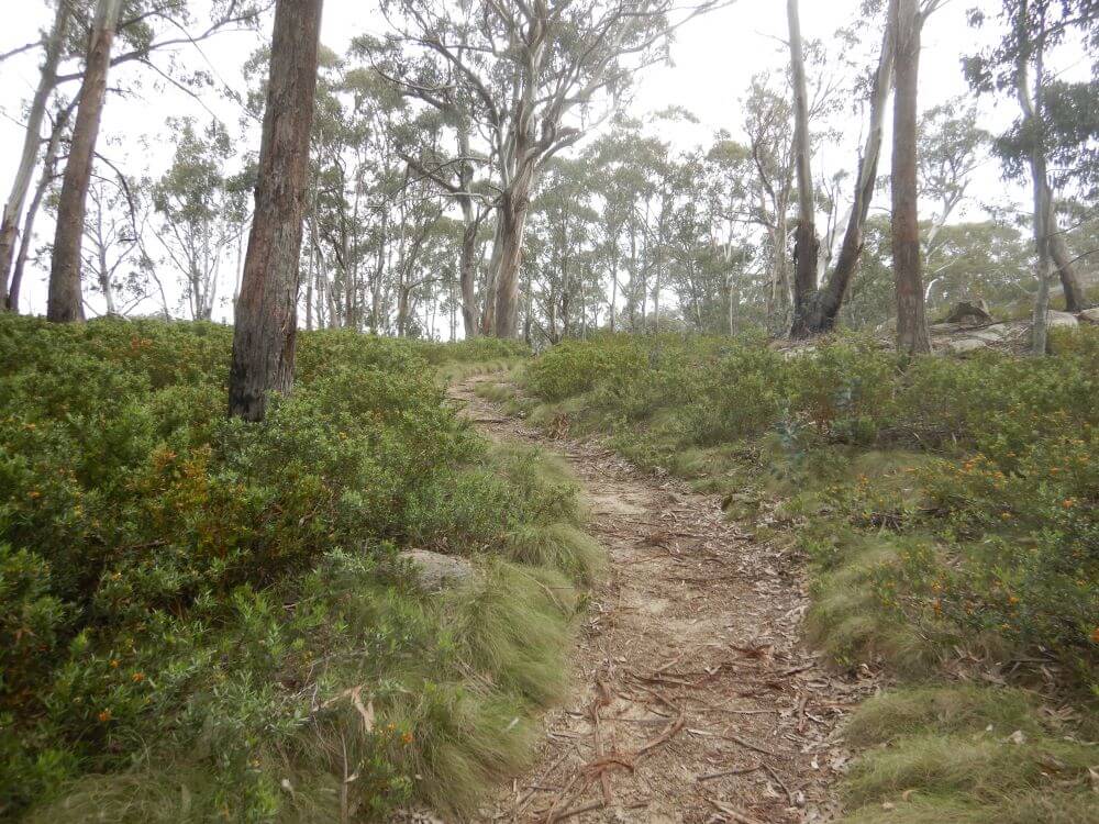 Mt Buffalo National Park