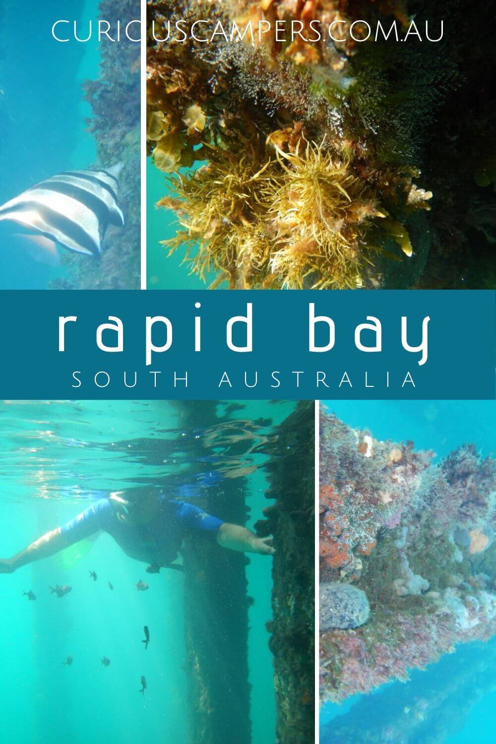 Rapid Bay South Australia