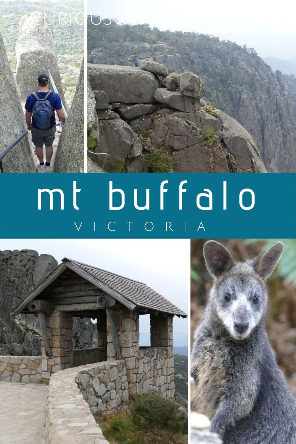 Mt Buffalo National Park