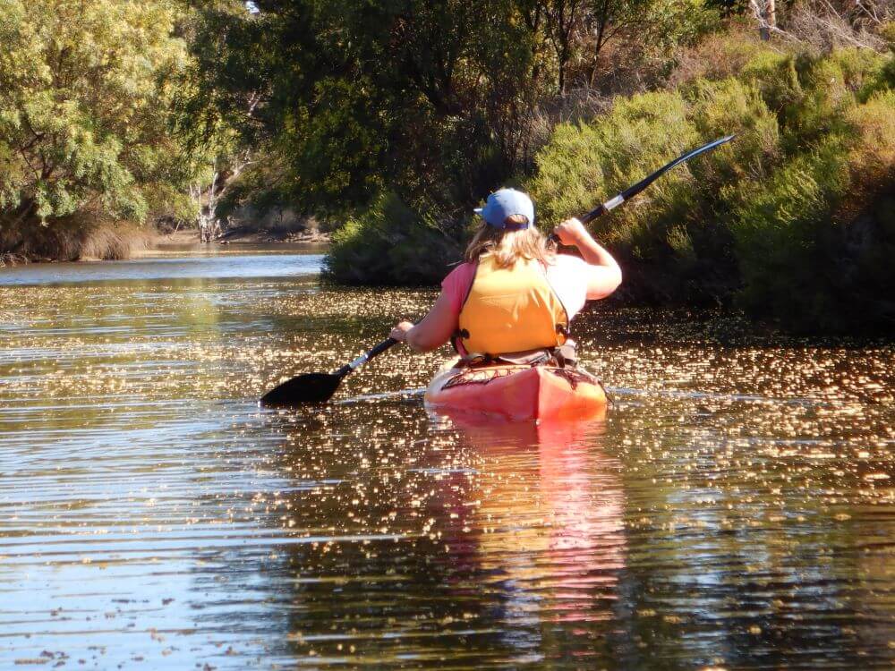 Harriet River Kayaking