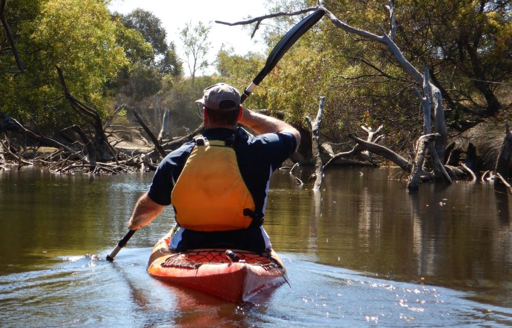 Kayaking Kangaroo Island – Harriet River