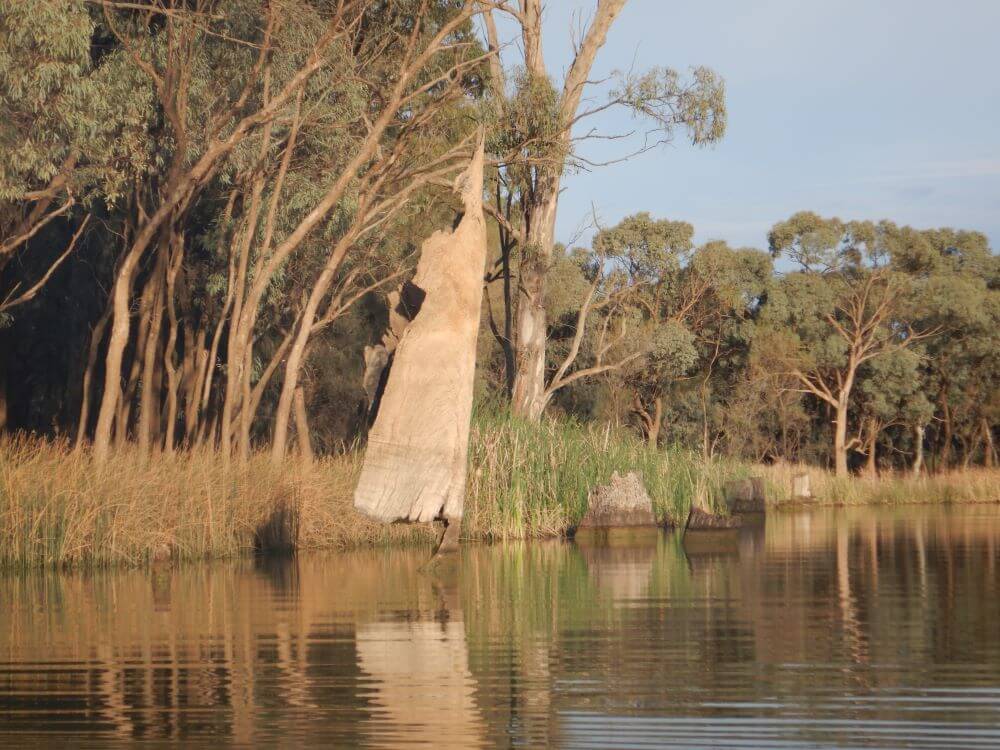 Kings Billabong at Sunset