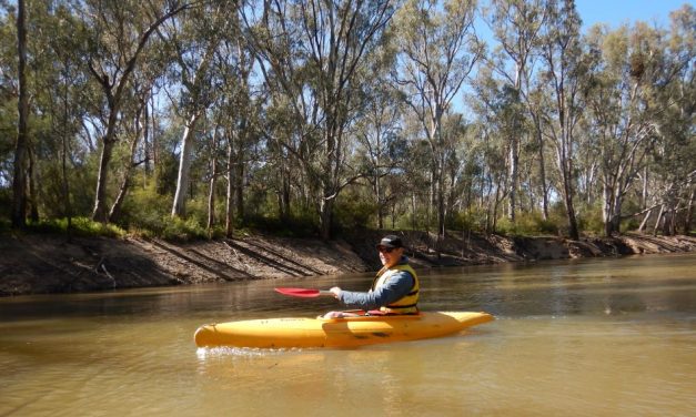 Murray River Kayak at Echuca