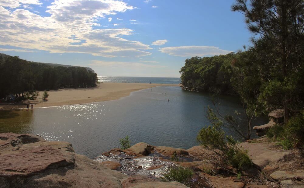 Royal National Park 