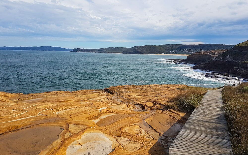 are dogs allowed in national parks nsw