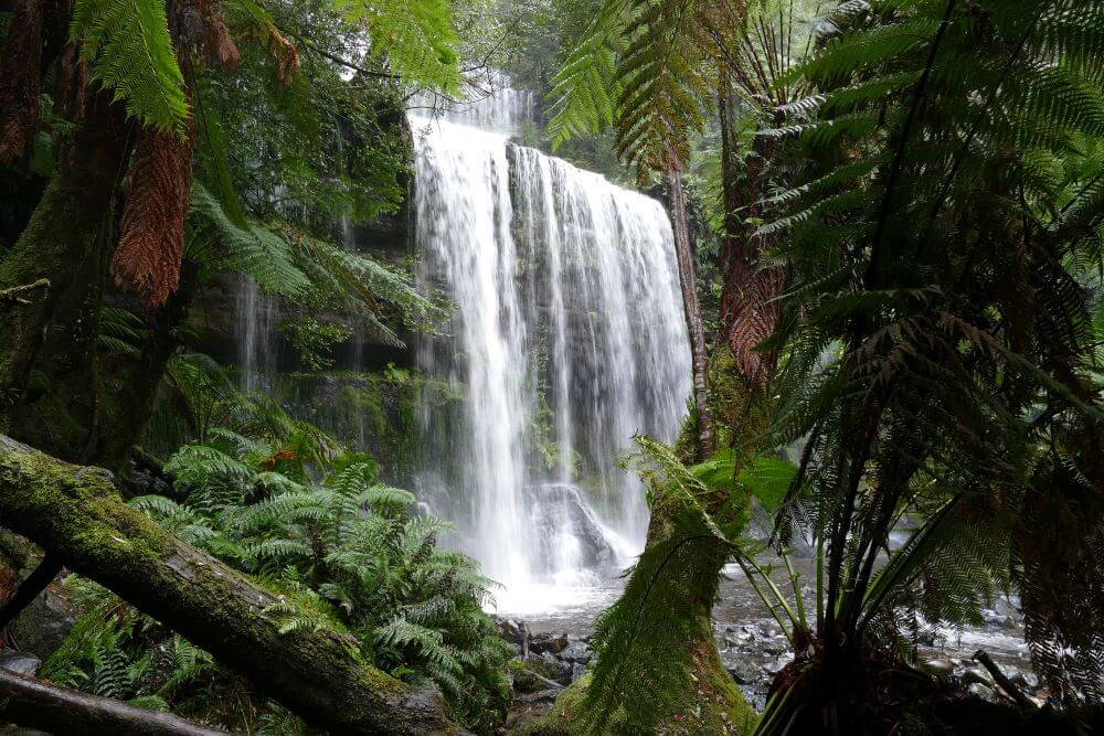 Russell Falls Mount Field