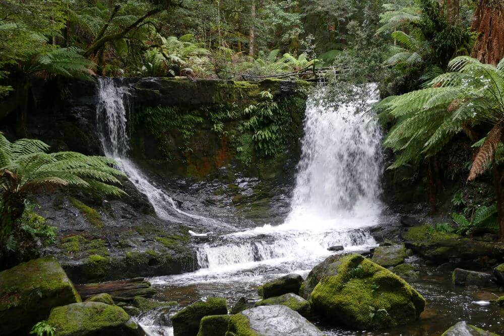 Mount Field Waterfalls