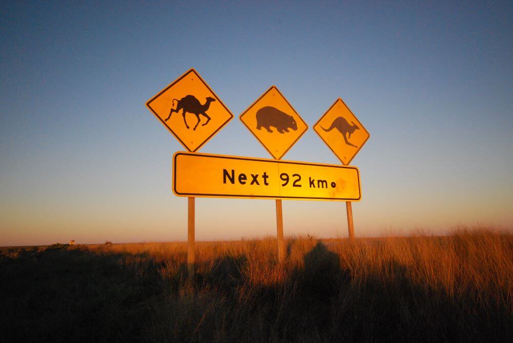 Nullarbor Road Signs