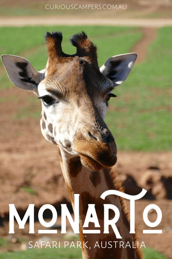 Monarto Zoo