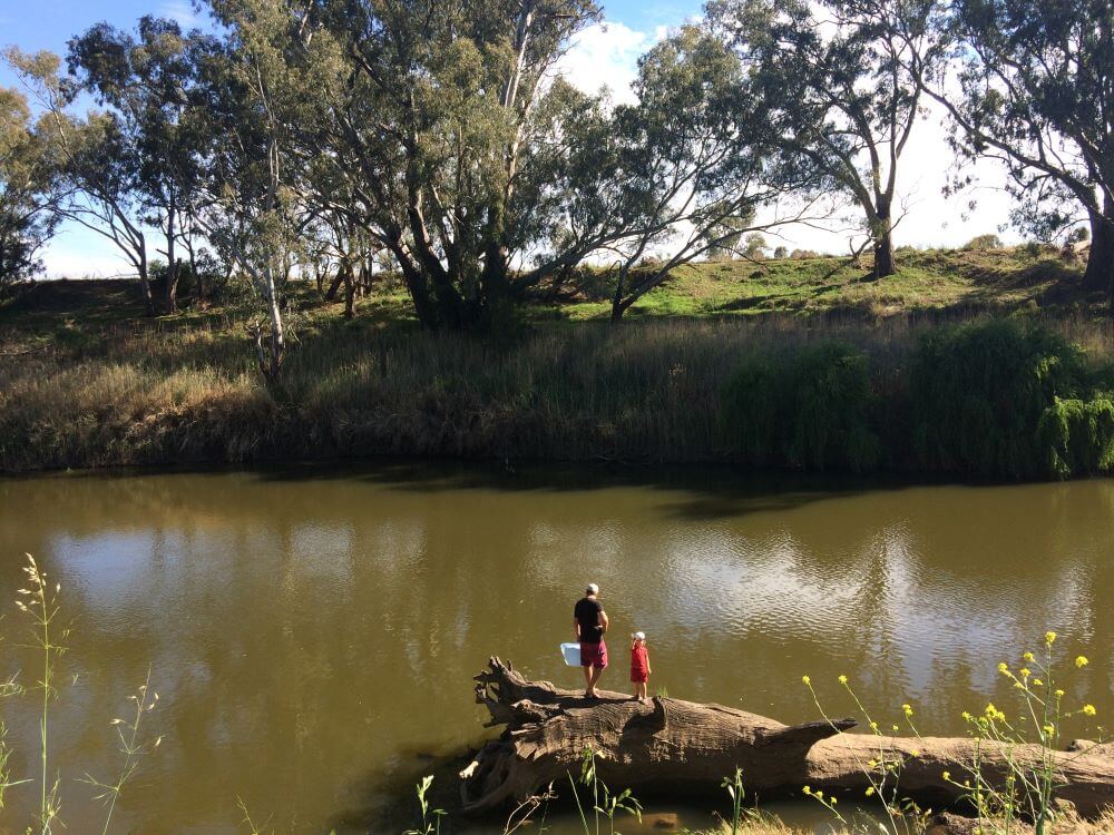 Terramungamine Campsite