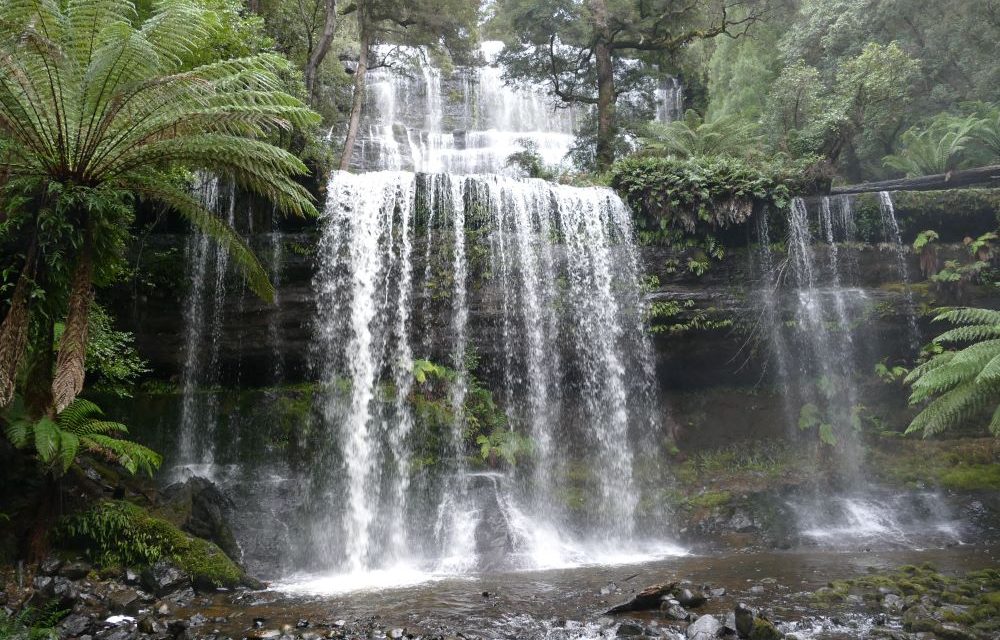 Mount Field Waterfalls & Walks | visitor guide