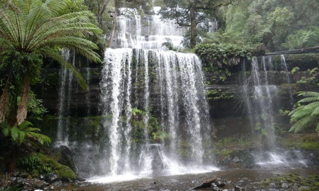 Mount Field Waterfalls & Walks | visitor guide