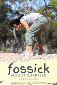 Fossicking for Gems