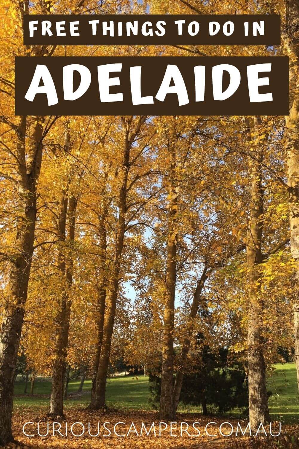Free Adelaide Attractions