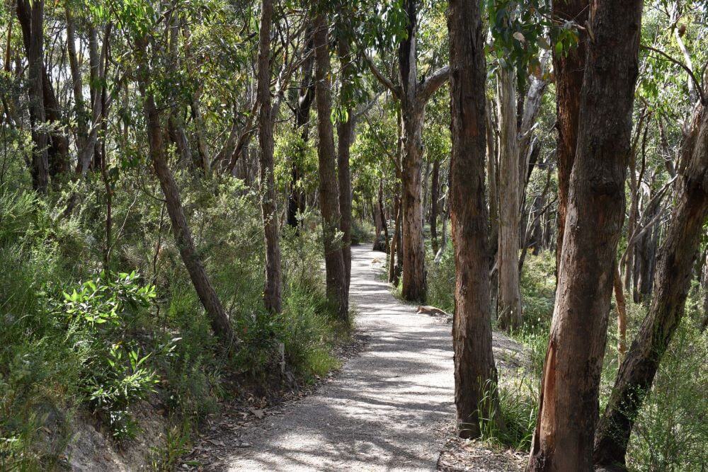 Free Adelaide Walking Trails