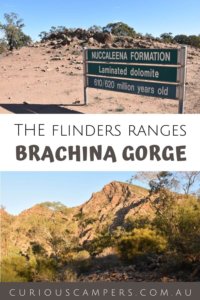 Brachina Gorge