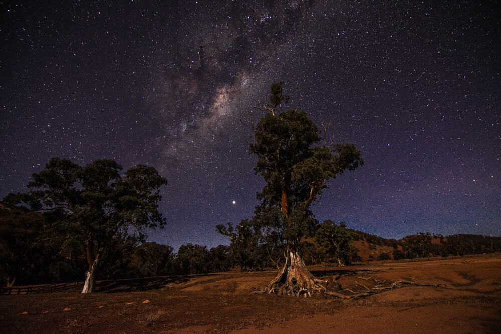 Flinders Night Sky