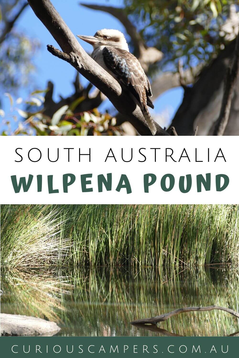 Wilpena Pound Flinders Ranges