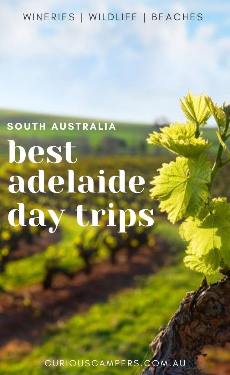 Day trips from Adelaide