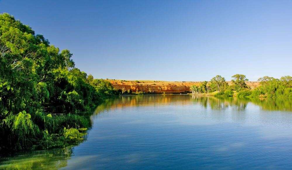 Mannum River View