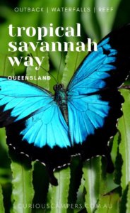 Savannah Way Road Trip