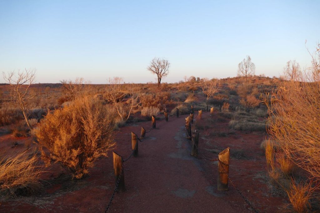 Path to Uluru Field of Light
