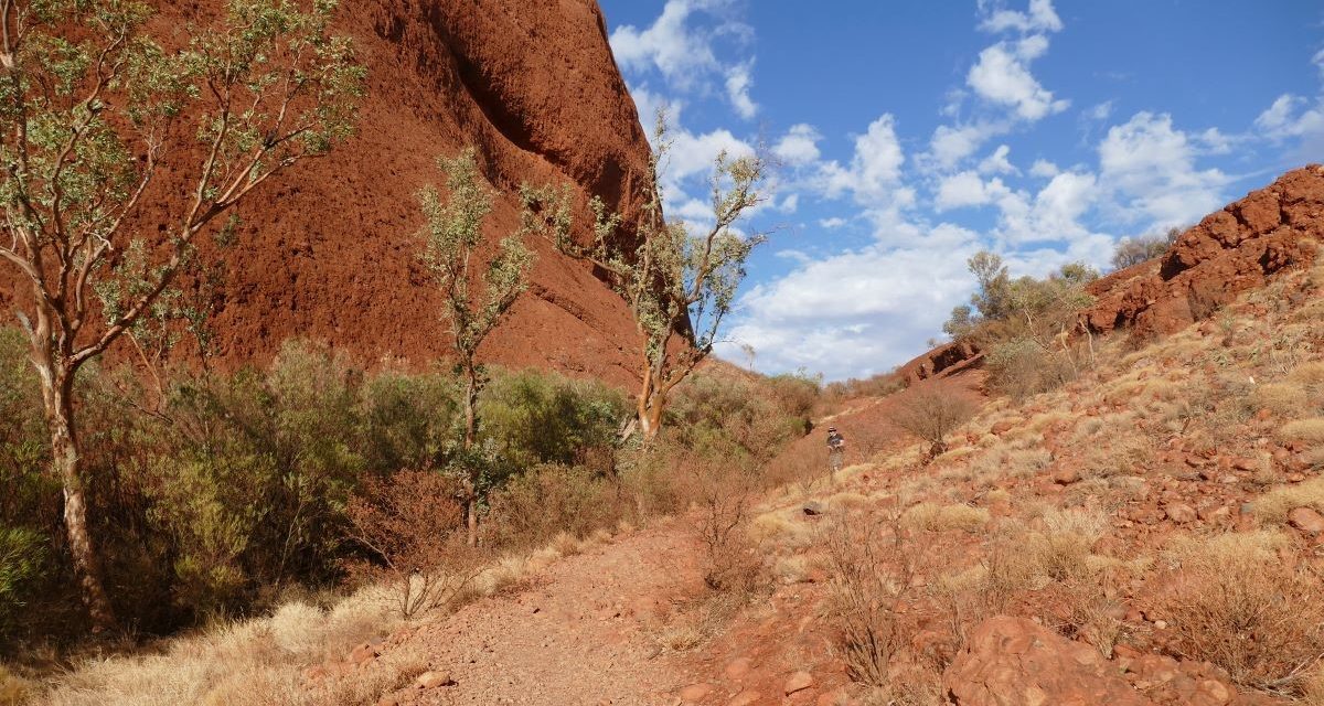 Valley of the Winds Walk – Kata Tjuta Visitor Guide