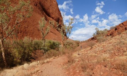 Valley of the Winds Walk – Kata Tjuta Visitor Guide
