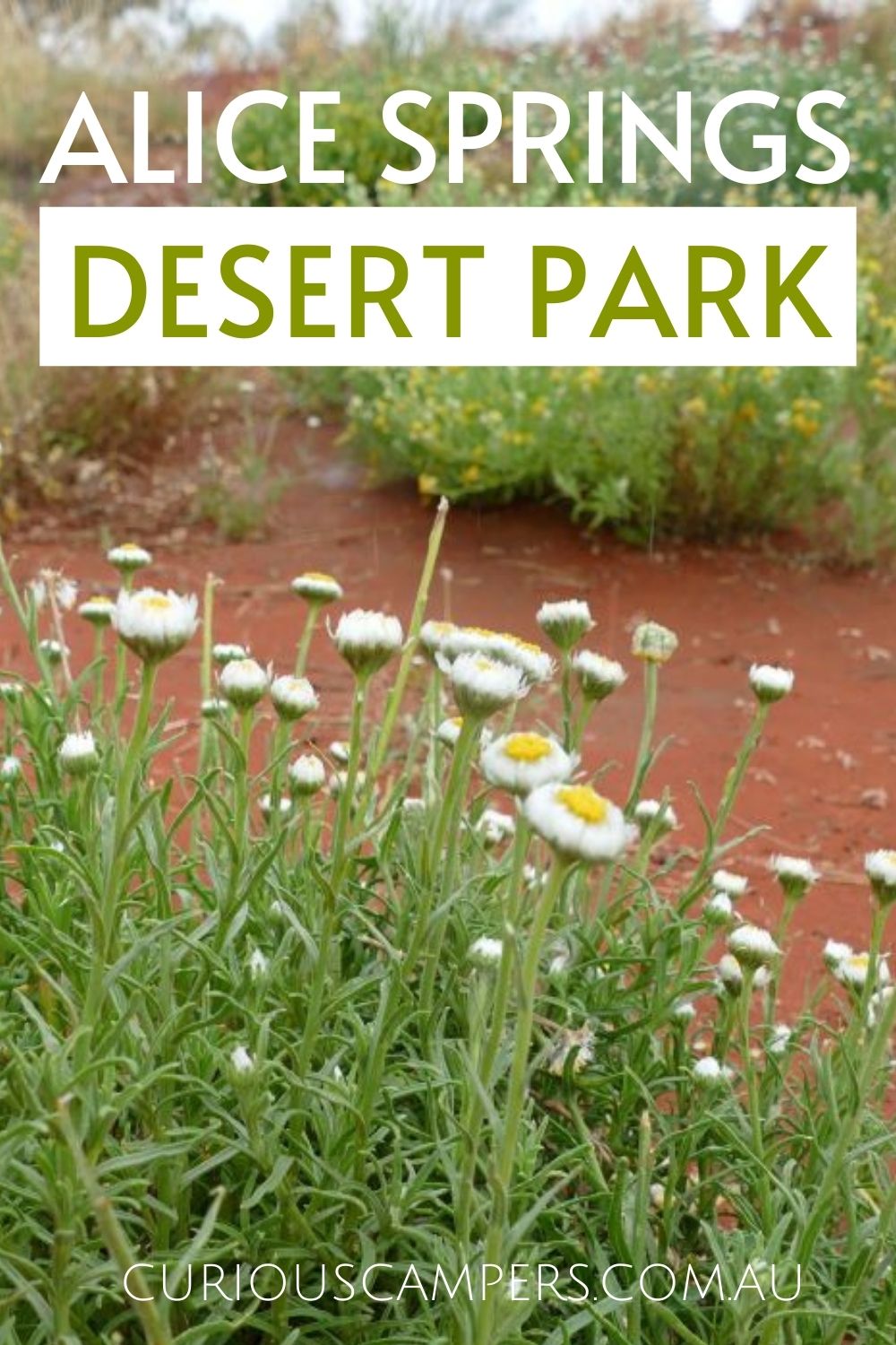 Alice Springs Desert Park Gardens