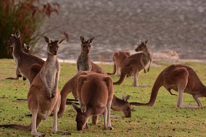 12 Great Day Trips from Perth - Curious Campers