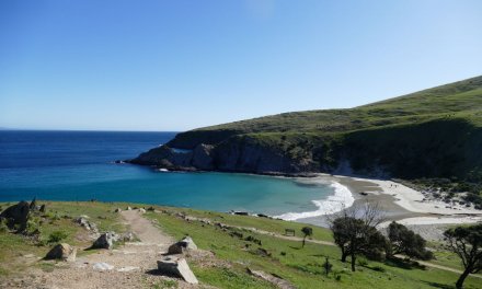 Blowhole Beach Visitor Guide