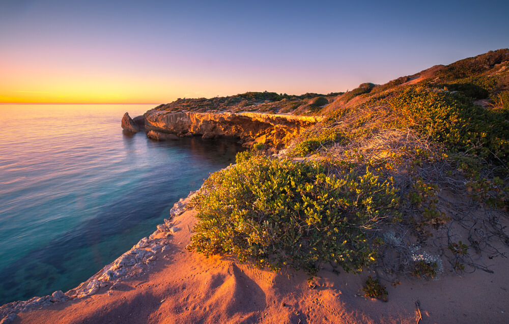 Marion Bay Coastline