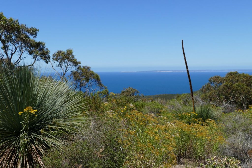 Tapannapa Lookout