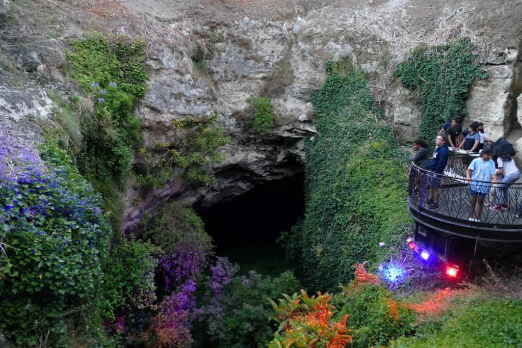 Cave Garden