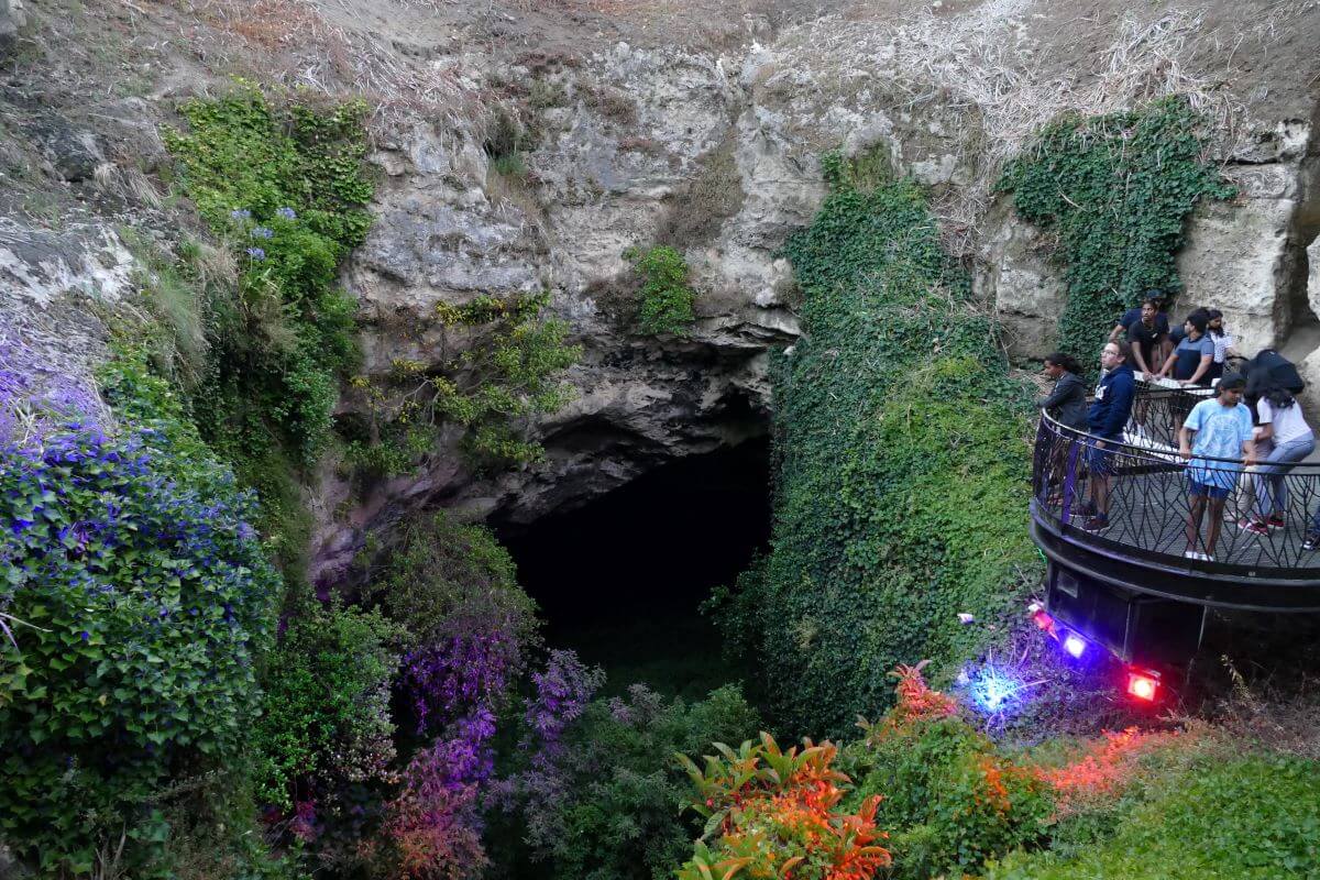Cave Gardens Mount Gambier