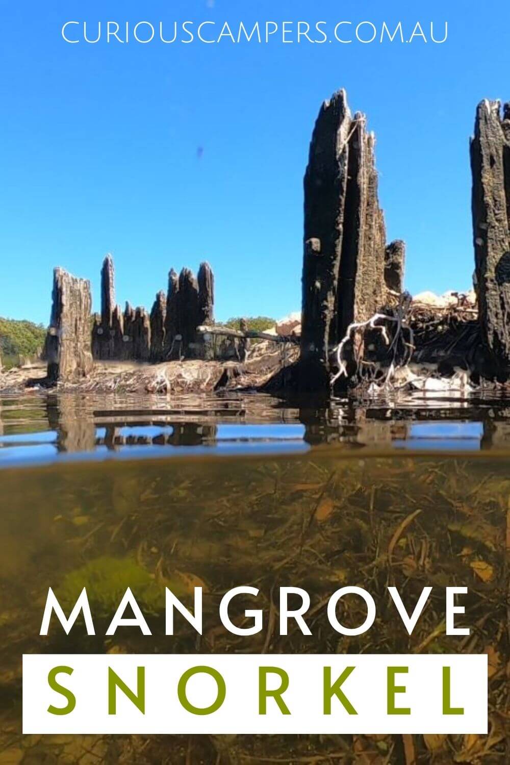 Port Gawler Mangrove Snorkel
