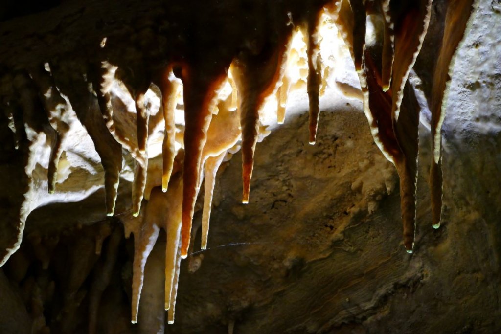 Tantanoola Caves 