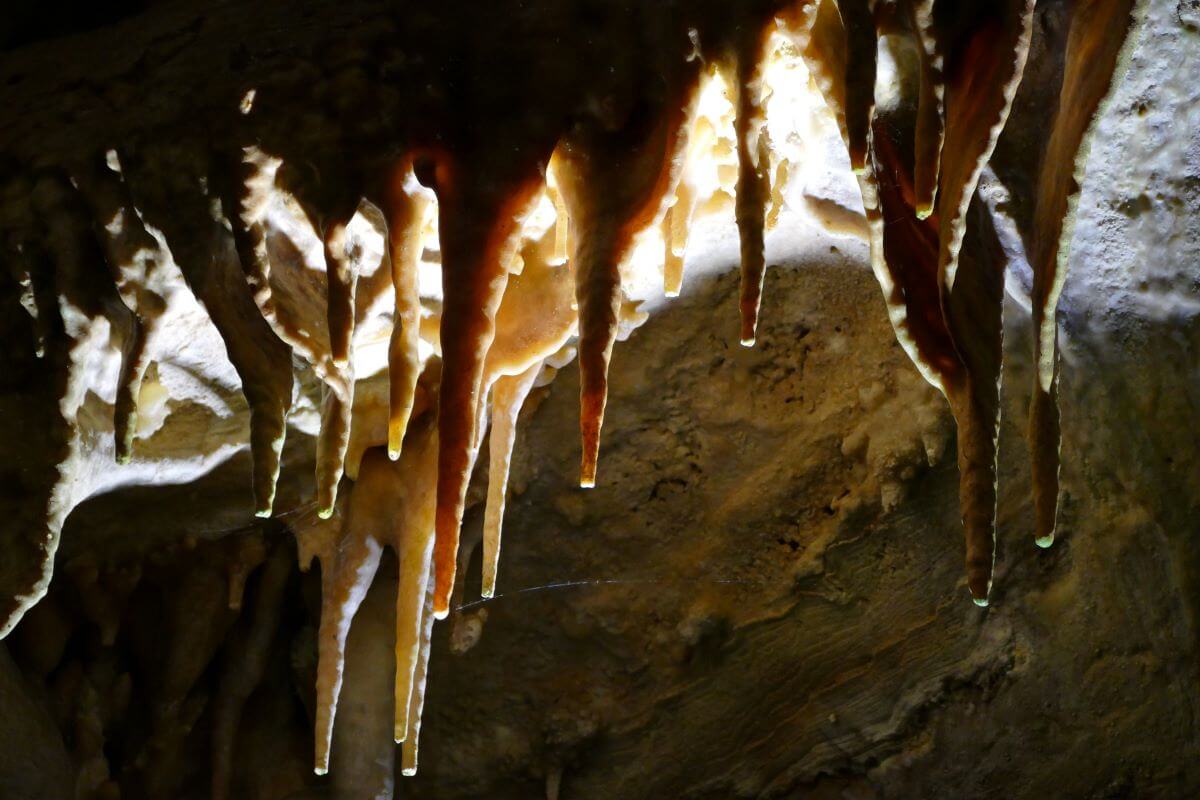 Tantanoola Caves Mount Gambier