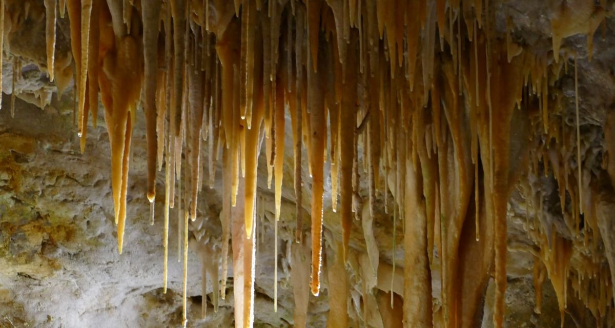 What you’ll see at Tantanoola Caves