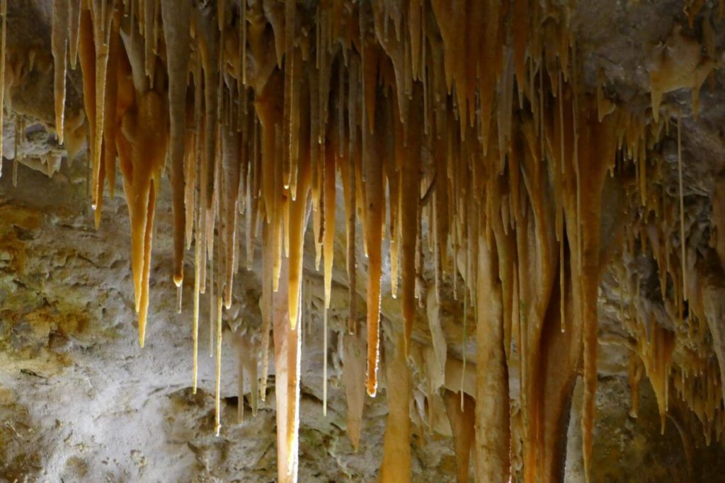 Tantanoola Caves