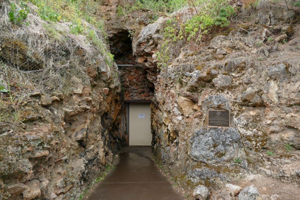 Tantanoola Caves Door
