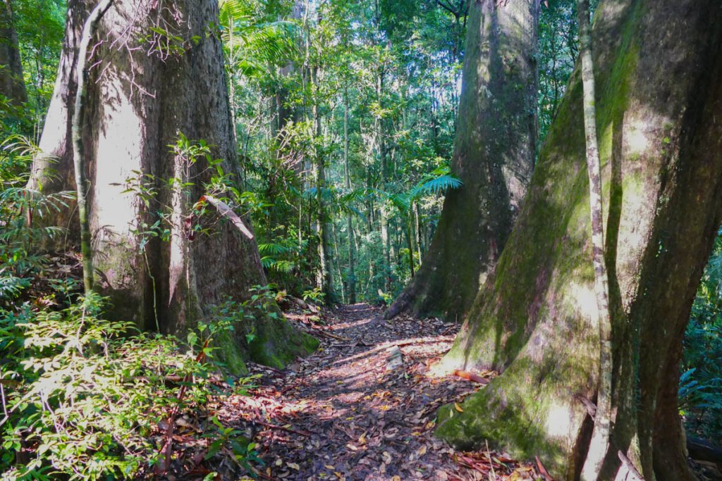 Warrie Circuit Trail