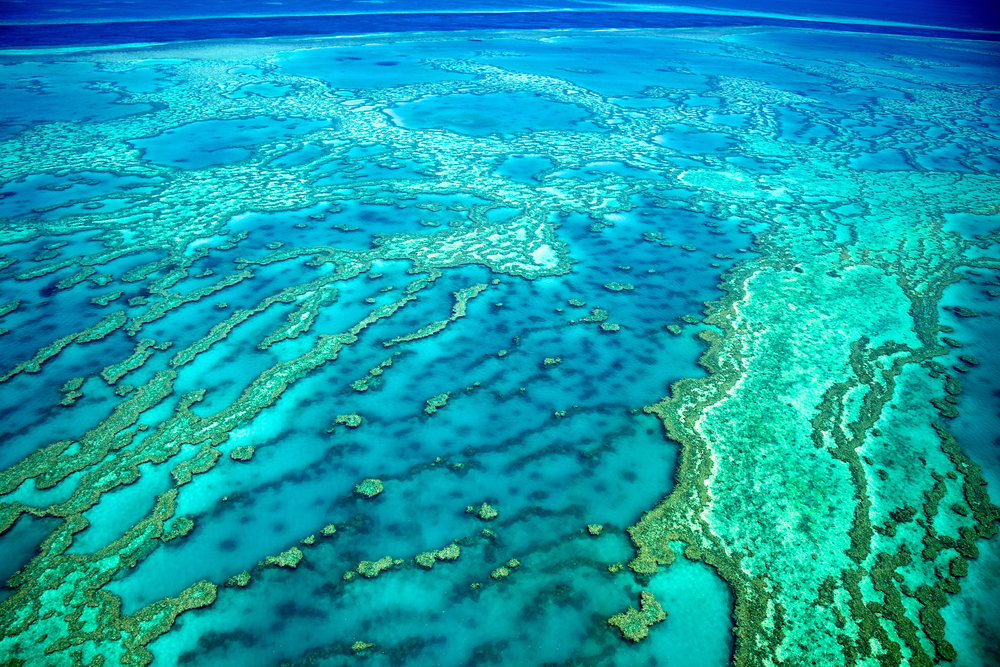 The Great Barrier Reef 