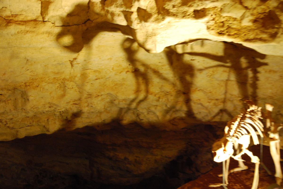 Naracoorte Caves Mount Gambier