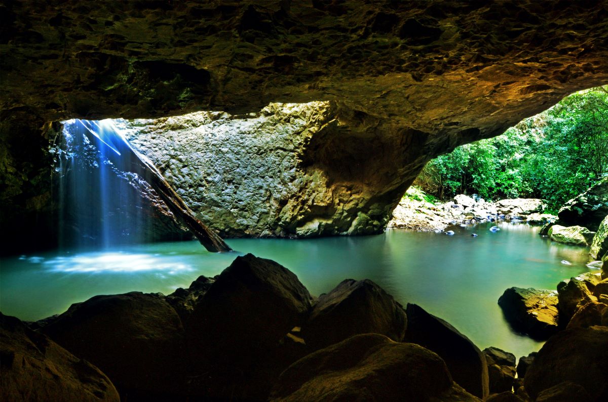glow worm caves at Natural Bridge
